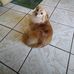 Isabell Lomeli - Facebook