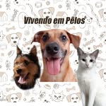 Isabel Luke Nina - @vivendoempelos - Instagram