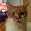 isabel_lukes - @isabel_lukes - TikTok