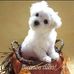 Isabel Lutzardo - Facebook