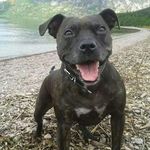 isabel macdonald - @macdonaldisabel - Instagram