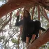 isabellemagee - @isabellemagee - TikTok