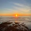 Isabel malone - @isabel_malone26 - TikTok