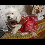 Isabel Patricia Mandujano Rojas - @isabel_mandujano_rojas - Instagram