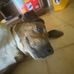 Isabella Manning - Facebook