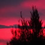 Isabel Mansfield - @browneyedgirl300748 - Instagram