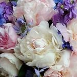 Maria Isabel Manso Martin - @mariaisabelmansomartin - Instagram