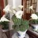 Isabel Martos - Facebook
