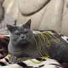 isabel_maxwell - @isabel_maxwell2 - TikTok