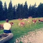 Isabel Mayer - @isabelm4850 - Instagram