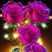 Isabel Mayo - Facebook