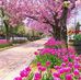 Isabel Mayo - Facebook