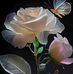 Isabel Mayo - Facebook