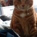 Isabel McCabe - Facebook