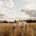 Isabelle McCormack - Facebook