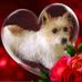 Isabel McCormick - Facebook