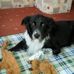 Isabel Mcdevitt - Facebook