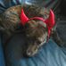 Isabel McHugh - Facebook