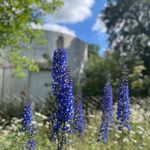 Isabel McHugh - @isabel.mchugh.311 - Instagram