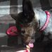 Isabel McHugh - Facebook