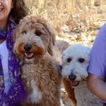 Isabel McKenzie - @doodlemcdoodleface - Instagram