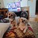 Isabelle McNally - Facebook