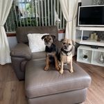 Isabel McNeil - @tibby93 - Instagram