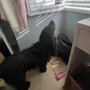 Isabel 🤍 - @isabel.meaden - TikTok