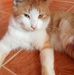 Isabel Melgoza - Facebook