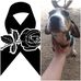 Isabel Mendez - Facebook