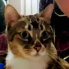 isabelmerida458 - @isabelmerida458 - TikTok