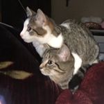Isabel & Miles - @_isabel_miles_ - Instagram