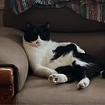 Isabel Milián Girona - @miliangirona - Instagram