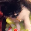 Isabella Milligan - @isabellamilligannnn - TikTok