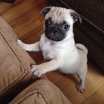 Isabelle Milligan - @isabelllemilligan - Instagram