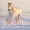isabelmingo - @isabelmingo_ - TikTok