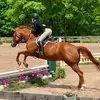 Isabella🐎🎾❤️ - @isabella.minton - TikTok