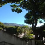 Isabel Mirabal - @mirabal4699 - Instagram