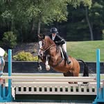 Isabel Mitchell - @isabel_eq7 - Instagram