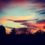 Isabel Mitchell - @izzybeea - Instagram