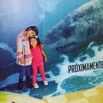 constanza Isabel Mitre luna - @constanzaisabelmitre - Instagram