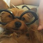 Isabel Molero - @isabel.molero.566 - Instagram
