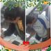 Isabel Moncada - Facebook