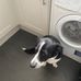 Isabel Mooney - Facebook