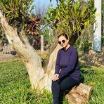 Isabel Moraes - Facebook
