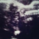 Isabel Morfin - @isabel.morfin.52 - Instagram