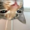 Isabelle - @isabelle.morse1 - TikTok