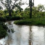 Isabel Mortera - Facebook