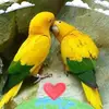 Isabel Moyano - @isabel.moyano22 - TikTok