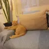 Isabel Moyano - @isabel.moyano94 - TikTok